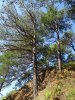 Ландшафты Дворницкой Щели